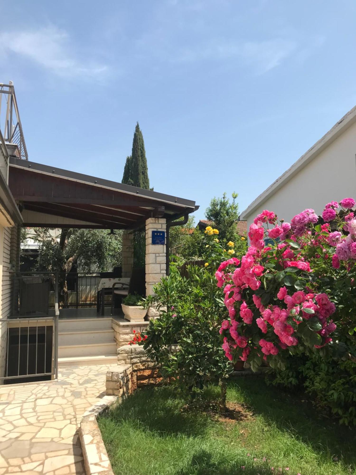 App Sorgo Apartment Novigrad  Exterior photo